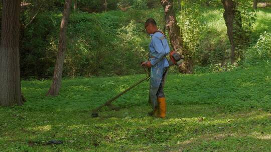 小区除草 公园除草 割草机 劳动人民视频素材模板下载