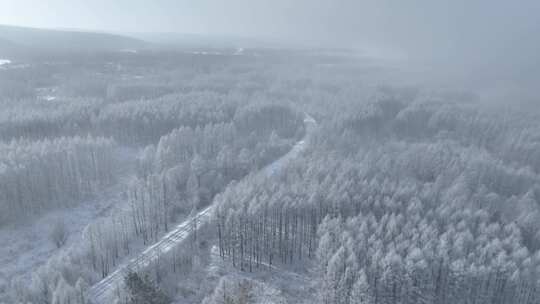 航拍林海雪原银装素裹树林