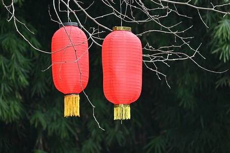 尼亚加拉 恢宏 庄严弦乐 爱国宣传片