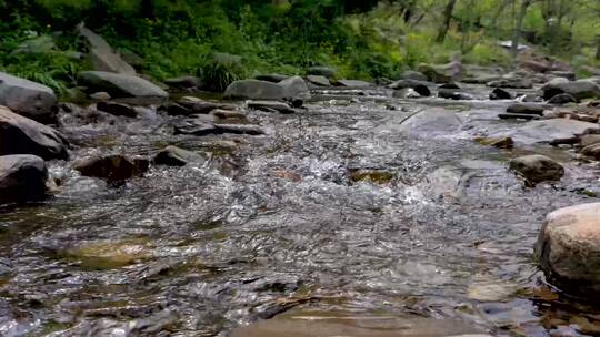 春季山区潺潺溪水流淌延时视频素材模板下载