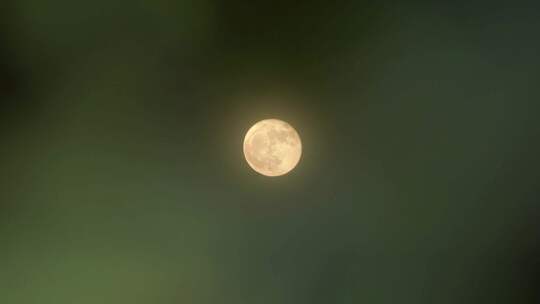 中秋月亮透过树叶月亮十五月亮赏月满月圆月