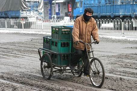 松树下的雪花飘落 雪乡绮梦 隆冬 雪乡