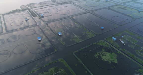 苏州阳澄湖航拍清晨日出水产养殖区