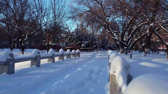 冬天公园老树小河雪景