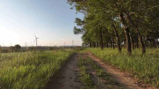 开车行驶在乡间道路