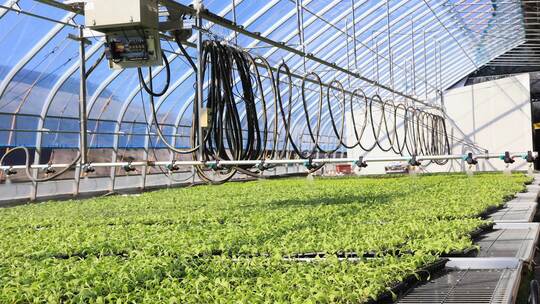 【合集】现代化农业大棚自动喷淋 水肥一体