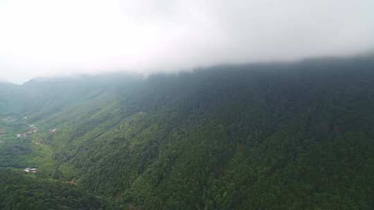 航拍武夷山桐木麻粟村正山小种老枞红茶山场