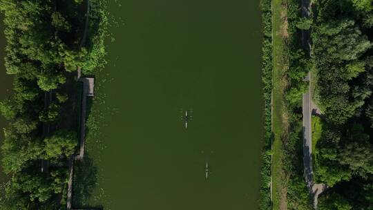 人文生态绿色城市公园河道划船航拍