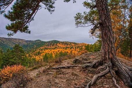 明孝陵叹 哥特 恐怖 管风琴 合唱 雷