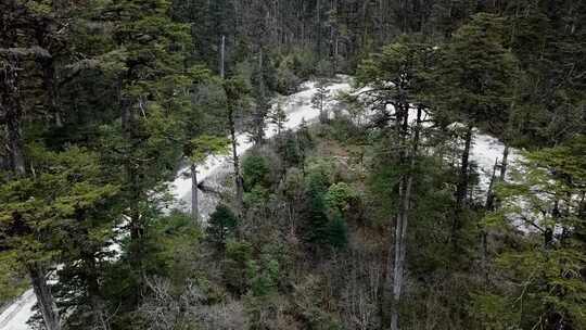 航拍西藏林芝墨脱公路原始森林