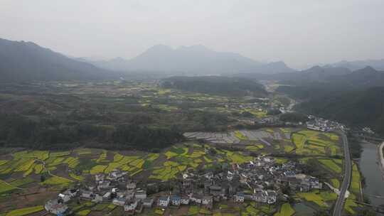 油菜花开 宣城市绩溪县伏岭村风光航拍素材