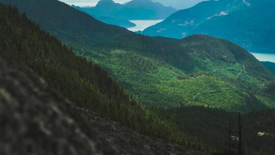 山脉森林自然植被有氧运动登山风景旅游1