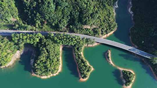 中山最美公路