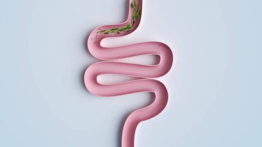 绿色叶子穿过粉色肠道抽象肠道清理3D