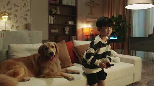 TVC男孩和狗狗客厅一起看电视大屏绿幕