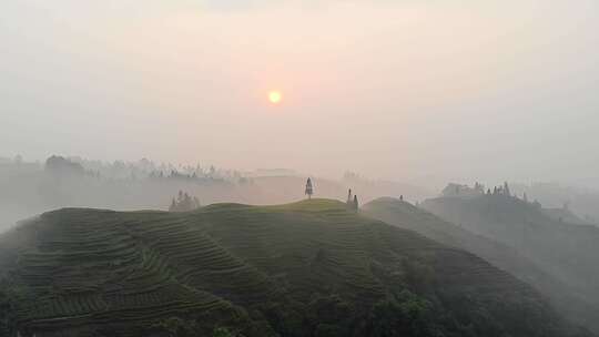 四川雅安大地指纹茶山茶园日出晨雾航拍