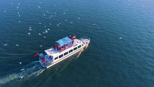 航拍滇池游船与海鸥