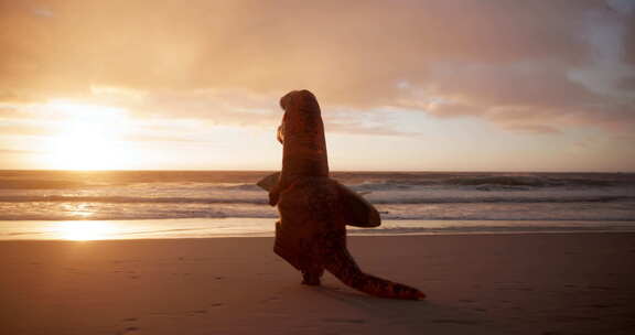 海滩上的冲浪板、日落和恐龙服装，用于喜剧
