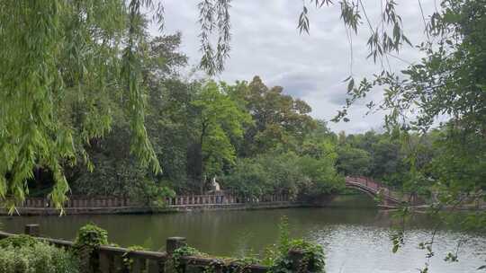 公园湖拱桥绿植树林