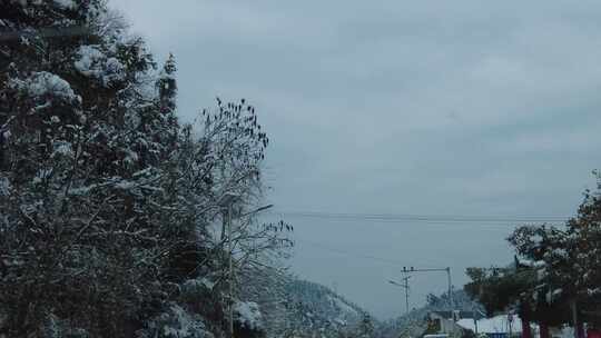 冬天车窗外冬天雪景实拍