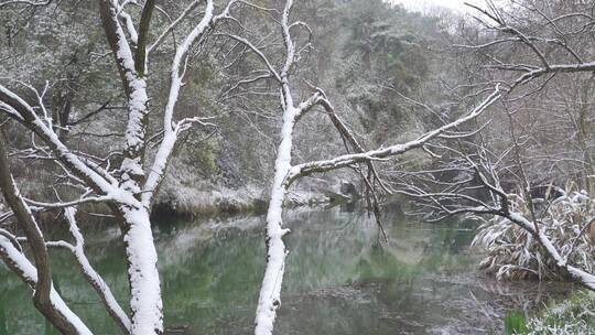 意境冬天公园湖面雪景