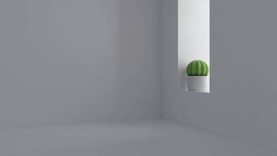 白色空房间与仙人球盆栽3D渲染