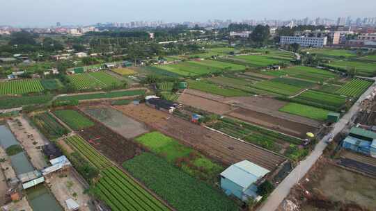 城郊农业种植航拍