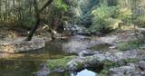 森林山涧溪流 浙东小九寨 白岩溪 芝林景区高清在线视频素材下载