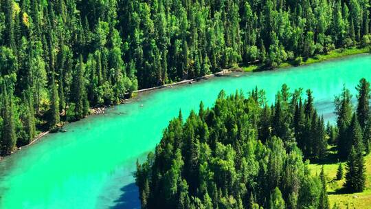 航拍绿色森林河流大自然风景