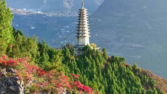 三峡红叶