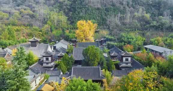 航拍古观音禅寺千年银杏树