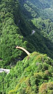 湖北神农架5A景区