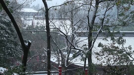 杭州上天竺法喜讲寺风景