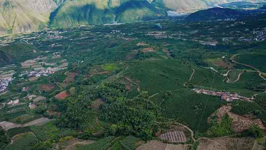 4K云南保山咖啡种植园航拍