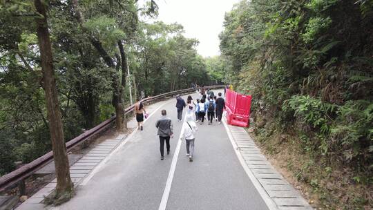 航拍深圳龙华区观澜生态及绿化