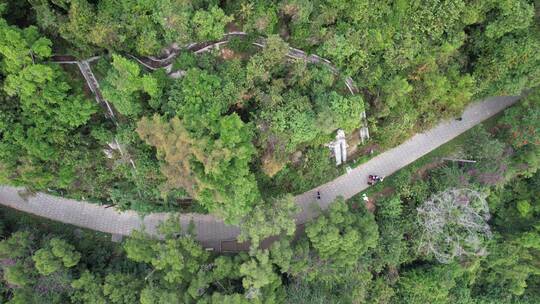 深圳 福田 梅林水库 梅林一村 建筑群