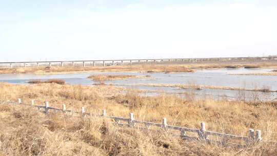 芦苇 湿地 空地 草 芦叶 水 湿地园