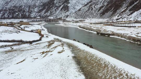 航拍川藏线上大雪覆盖的牧民村庄