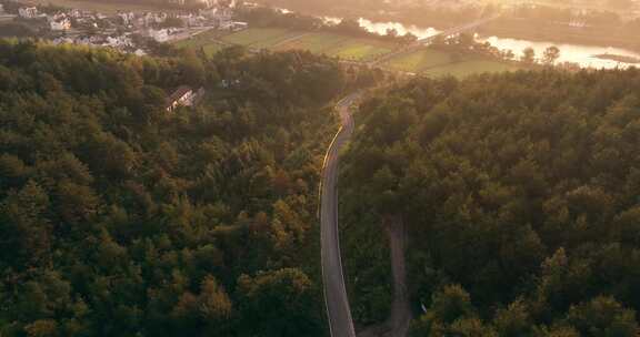 森林中的道路航拍