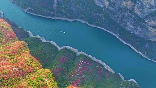 三峡红叶