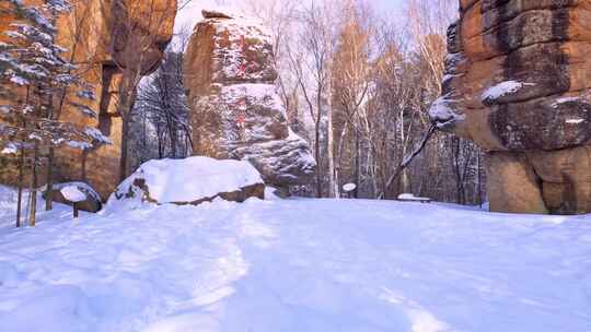 伊春5A景点汤旺河林海奇石景区冬天雪松