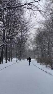 行人独自漫步在大雪森林