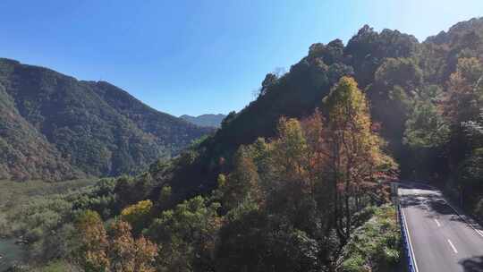 四明山 盘山公路 秋色 秋天 余姚