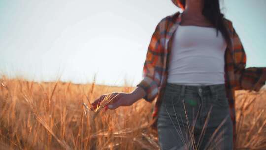 女农民散步触摸麦穗农场工人漫步在农田农业