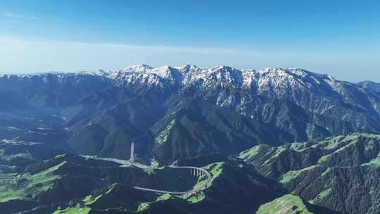 航拍新疆伊犁雪山上的云杉树