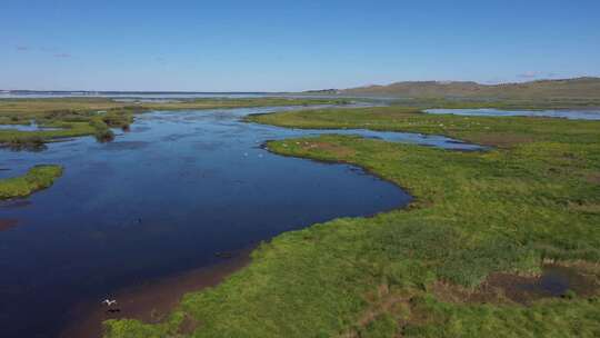 内蒙古生态修复土地复垦湖泊动物视频素材模板下载