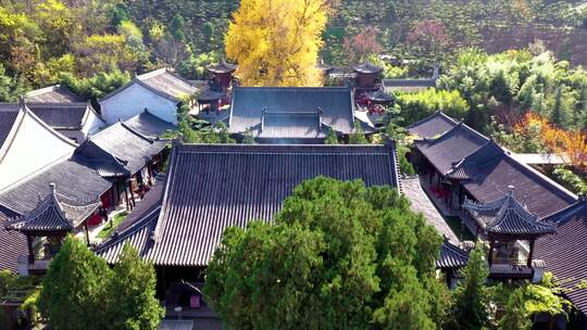 航拍古观音禅寺