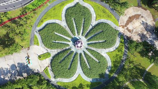 广州宏城公园花圃造型紫荆花