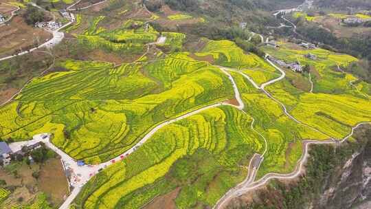 湖北恩施5A景区大峡谷绝壁花海航拍