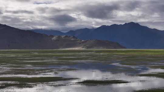 西藏湿地生态风光